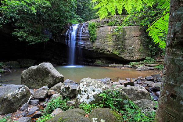 Serenity Falls, Buderim Forest, Queensland