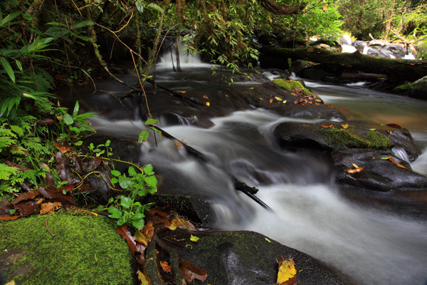 Souita Falls, Queensland